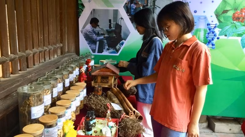 Khách tham quan tìm hiểu trưng bày về các bài thuốc nam, các cây thuốc có ở quanh ta.