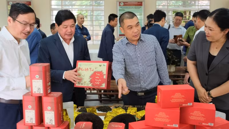 Các đại biểu tham quan một số gian hàng trưng bày sản phẩm chè chất lượng cao của các địa phương trong nước.