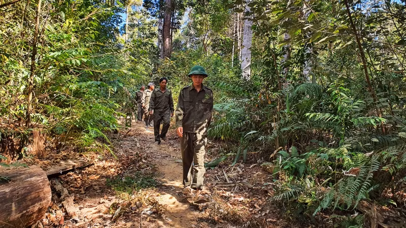 Công nhân Công ty trách nhiệm hữu hạn một thành viên Lâm nghiệp Đăk Tô tuần tra phòng, chống cháy rừng tại địa bàn mình quản lý.