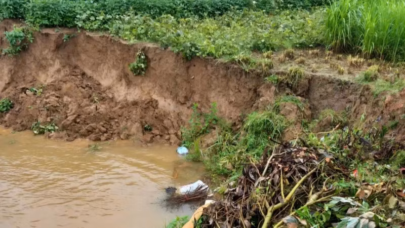 Sạt lở bờ sông kéo dài và ăn sâu về phía đê tả sông Lô.