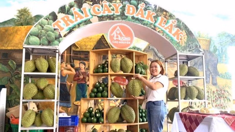 Sầu riêng và bơ, 2 loại trái cây thơm ngon nổi tiếng Đắk Lắk được trưng bày, giới thiệu tại Hội nghị.