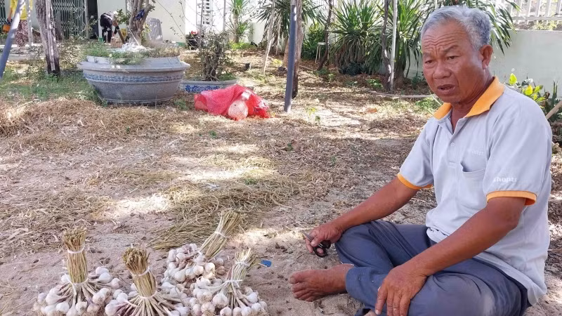 Ông Nguyễn Khắc Phòng, Giám đốc Hợp tác xã tổng hợp nông nghiệp Thái An, trao đổi với phóng viên Báo Nhân Dân vào chiều 13/2/2023.