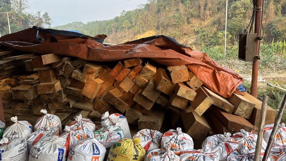 Nhiều gỗ xẻ dạng thanh trong nhà tôn.