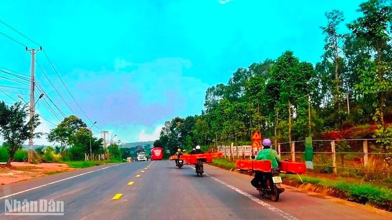 Xe máy nối đuôi nhau chở gỗ trái phép trên quốc lộ 14, đoạn qua thị trấn Đức An, huyện Đắk Song, tỉnh Đắk Nông.
