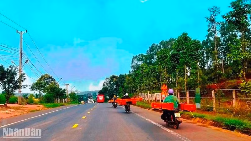 Xe máy nối đuôi nhau chở gỗ trái phép trên quốc lộ 14, đoạn qua thị trấn Đức An, huyện Đắk Song, tỉnh Đắk Nông.