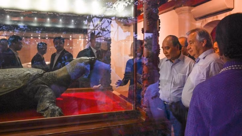 Chủ tịch nước Nguyễn Xuân Phúc và Tổng Thư ký Liên hợp quốc António Guterres tham quan tiêu bản rùa hồ Gươm được trưng bày tại Đền Ngọc Sơn.
