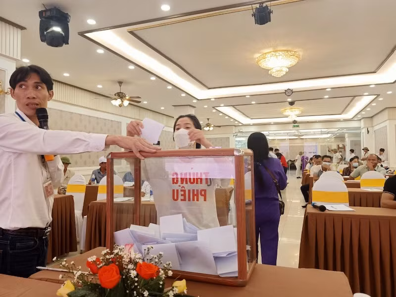 Lãnh đạo Công ty đấu giá Toàn Cầu trong phiên đấu giá hai gói tài sản rừng của UBND huyện Phong Điền, Thừa Thiên Huế.