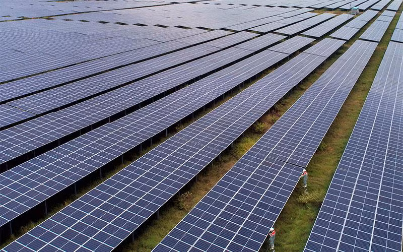 Sao Mai Group đang mở rộng đầu tư thêm nhà máy năng lượng mặt trời tại Đăk Lăk, Đăk Nông với vốn đầu tư hàng nghìn tỷ đồng.