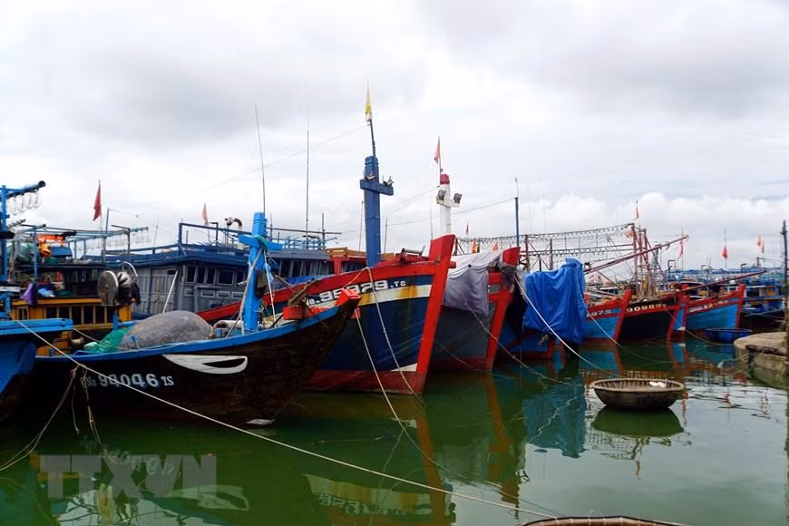 [Ảnh] Người dân tại miền trung hối hả phòng, chống bão Noru ảnh 9