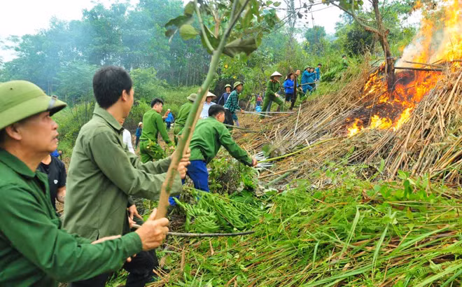 Diễn tập phòng chống cháy rừng.