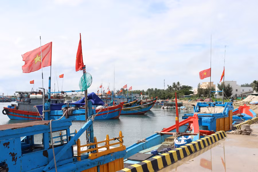 Việc đưa toàn bộ dự án vũng neo đậu tàu thuyền Lý Sơn (giai đoạn 2) đáp ứng 500 tàu cá công suất lớn có điểm neo đậu an toàn.