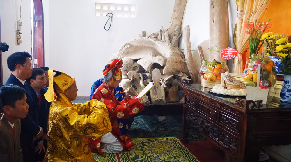 Nghi thức tế Thần Ngư trong lễ hội cầu ngư Cảnh Dương.