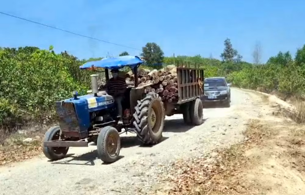 Lực lượng chức năng áp giải đưa tang vật về Hạt Kiểm lâm.