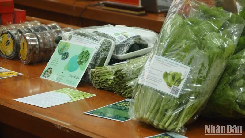 Sản phẩm tham gia đánh giá, xếp loại.