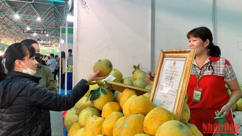 Người tiêu dùng tham quan, mua sắm các sản phẩm OCOP tại tuần hàng.