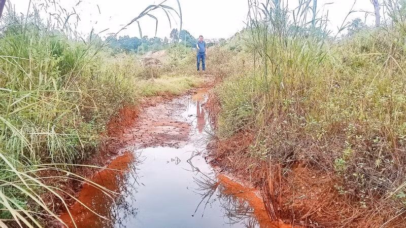Nước thải màu vàng được cho là từ Nhà máy cột thép mạ kẽm Thái Nguyên chảy đến đâu cây cỏ chết đến đấy.