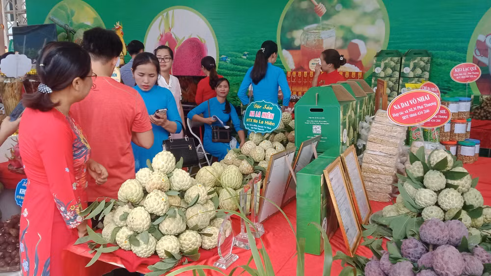 Hằng năm, huyện Võ Nhai tổ chức lễ hội quảng bá, tiêu thụ na.