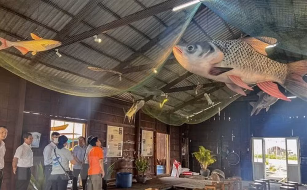 “Bảo tàng cá” Bảy Bon (Cần Thơ).