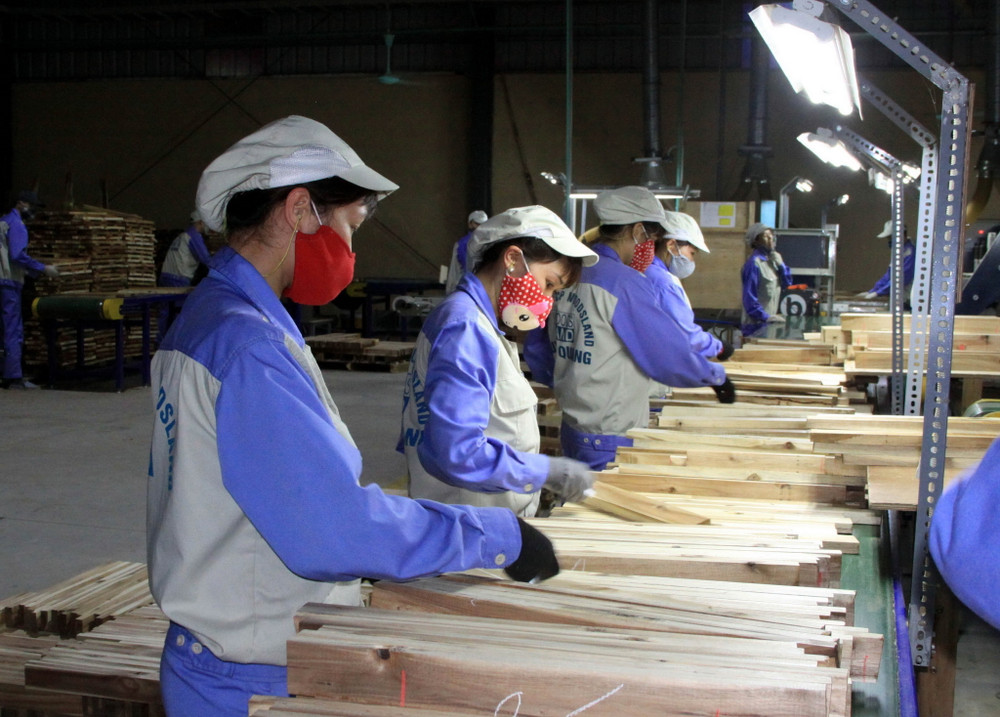 Doanh nghiệp chế biến gỗ gặp khó khăn do thị trường suy giảm nhu cầu. Ảnh: TTXVN