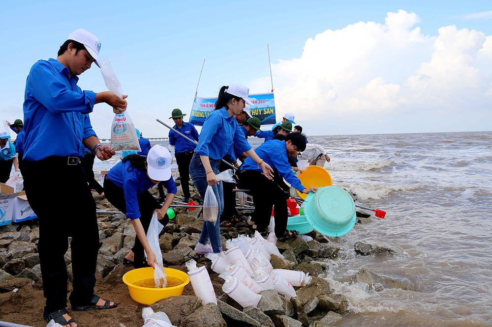Thanh niên trên địa bàn tỉnh Cà Mau tích cực tham gia hoạt động tái tạo nguồn lợi thủy sản. Ảnh: Kim Há