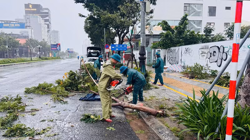 Gió mạnh, kèm mưa khi bão số 6 áp sát khiến hàng loạt cây ngã đổ trên một số tuyến đường.