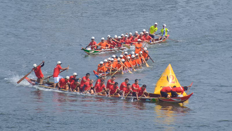 Màn qua tiêu kịch tính, sôi động.