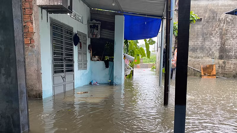 Nhiều ngôi nhà nước đã ngập sâu.