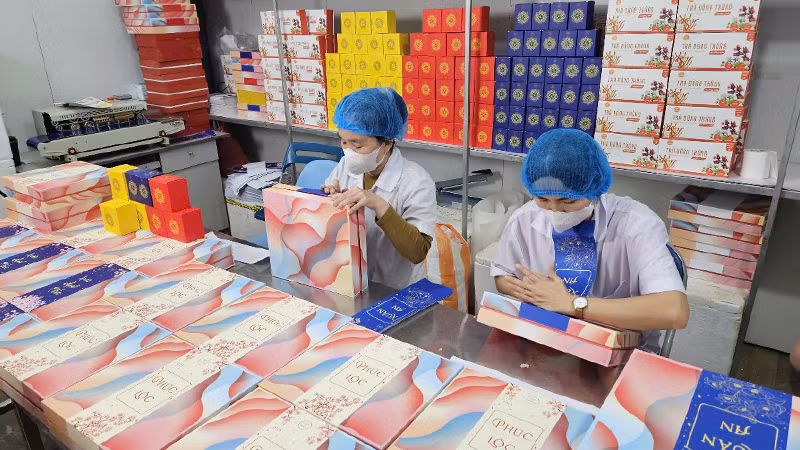 Sản phẩm quà Tết của Vinseed được thiết kế sang trọng.