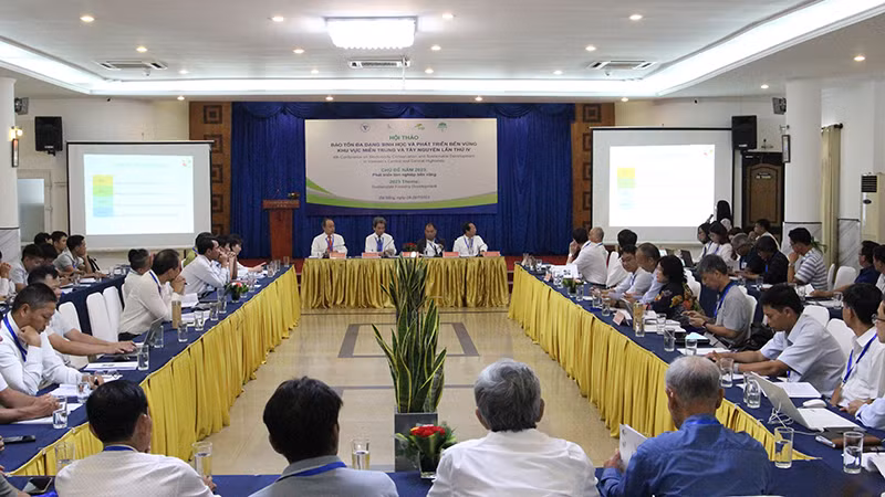 Toàn cảnh hội thảo.