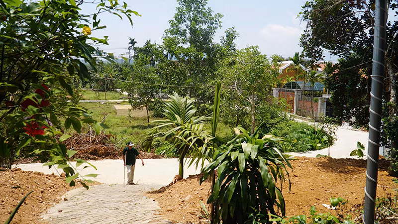 Từ nhà cựu binh Bùi Văn Tượng nhìn xuống còn đường mới.