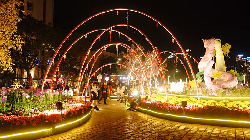 Đường hoa rực rỡ trong đêm.