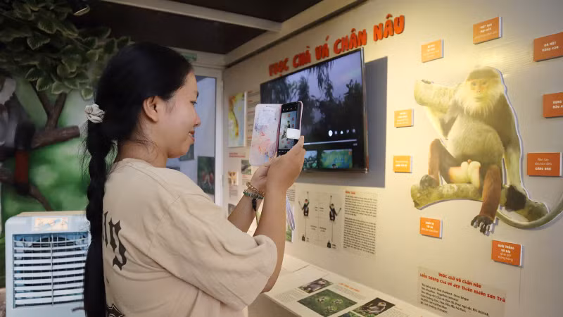 Đi thực tế tại Trung tâm giáo dục trải nghiệm thiên nhiên.