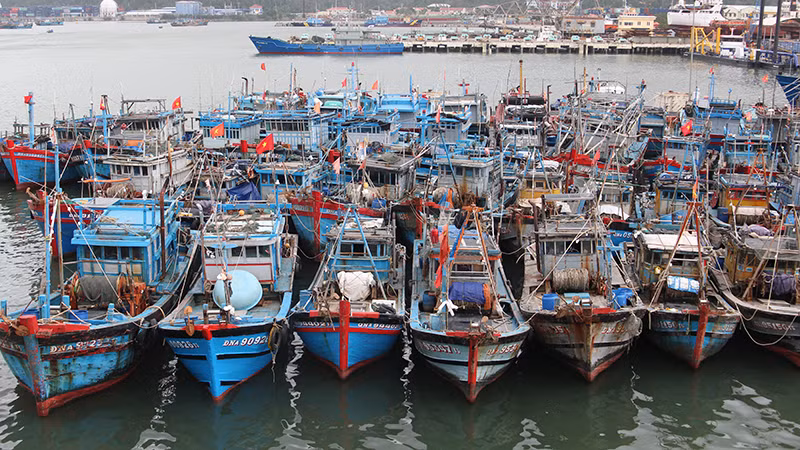 Toàn bộ tàu cá Đà Nẵng đã được thống kê và đưa vào theo dõi, quản lý.