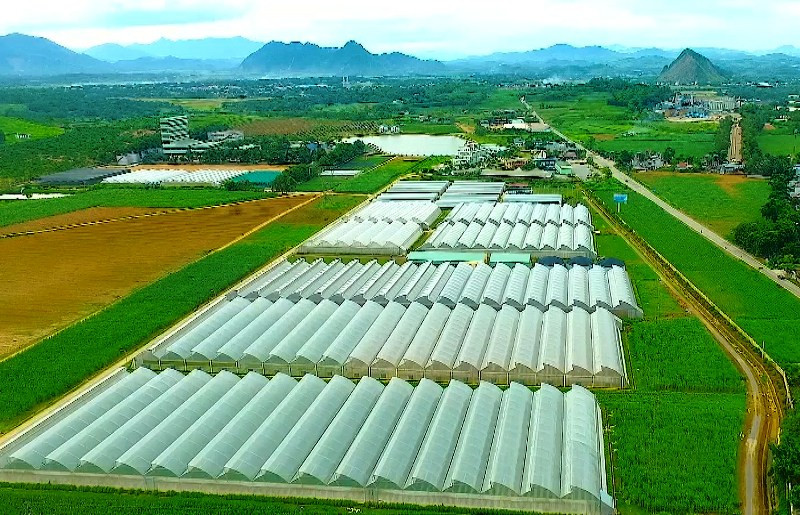 Trung tâm nông nghiệp công nghệ cao trên vùng đất Lam Sơn-Sao Vàng, tỉnh Thanh Hóa.