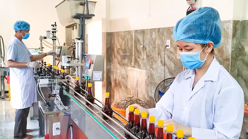 Dây chuyền sản xuất nước mắm tại Công ty TNHH Kinh doanh Nước mắm Huỳnh Khoa (Phú Quốc, Kiên Giang). Ảnh | MINH ANH