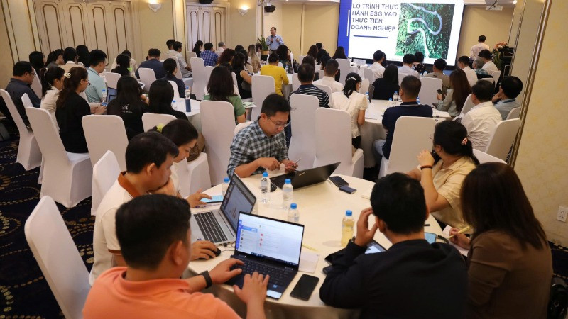Các đại biểu tham gia buổi tập huấn. Các đại biểu tham gia buổi tập huấn.