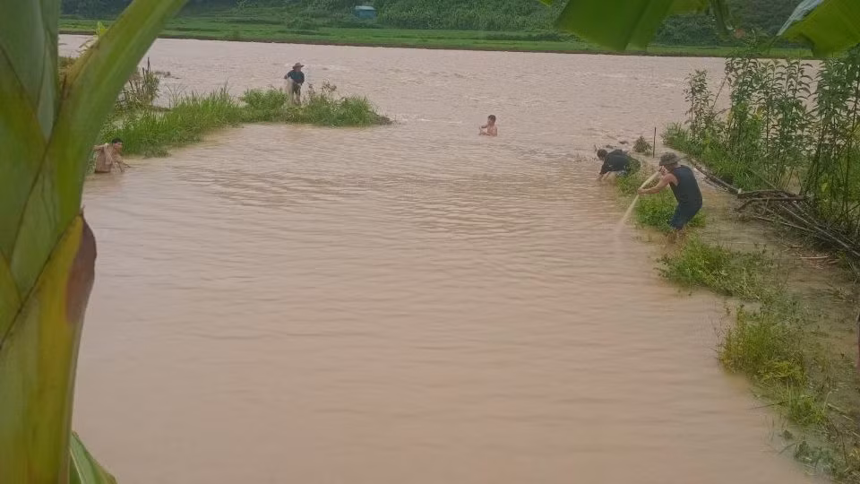 Mưa lũ làm ngập nhiều diện tích ao cá của người dân xã Bum Nưa huyện Mường Tè.