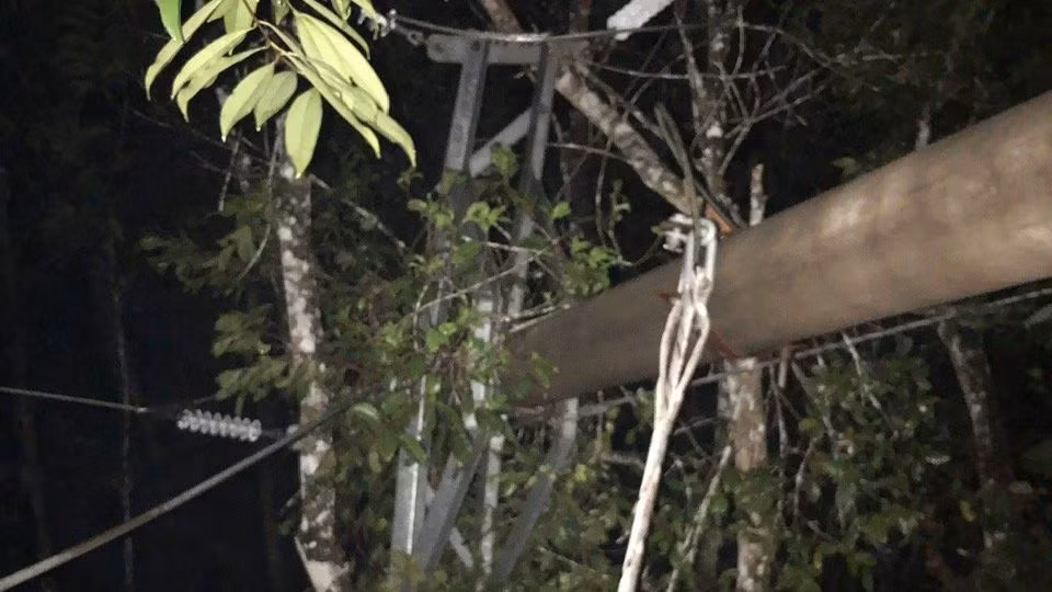 Nhiều cột điện bị gãy đổ.