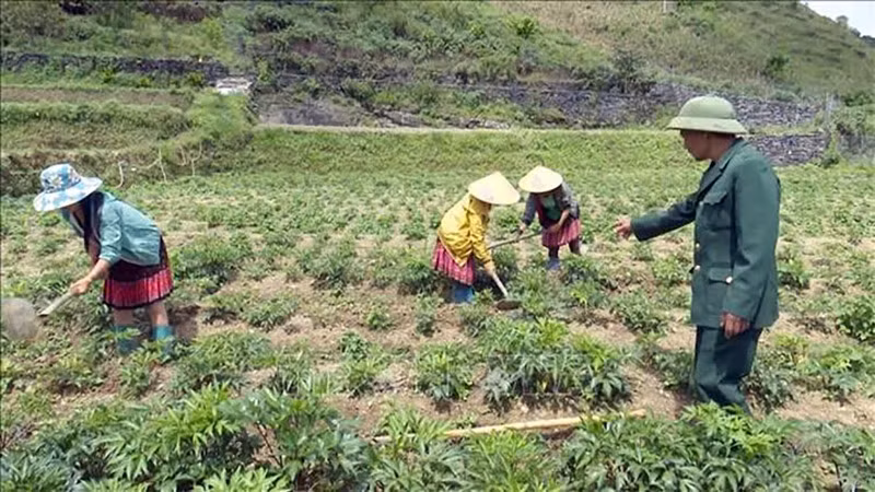 Gia đình ông Phương tạo việc làm thường xuyên cho nhiều lao động tại địa phương.