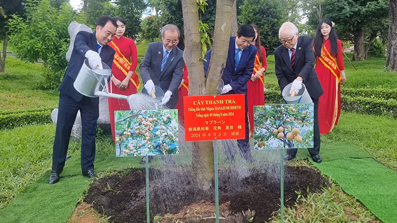 Lãnh đạo tỉnh Niigata trồng cây lưu niệm tại tỉnh Vĩnh Long.
