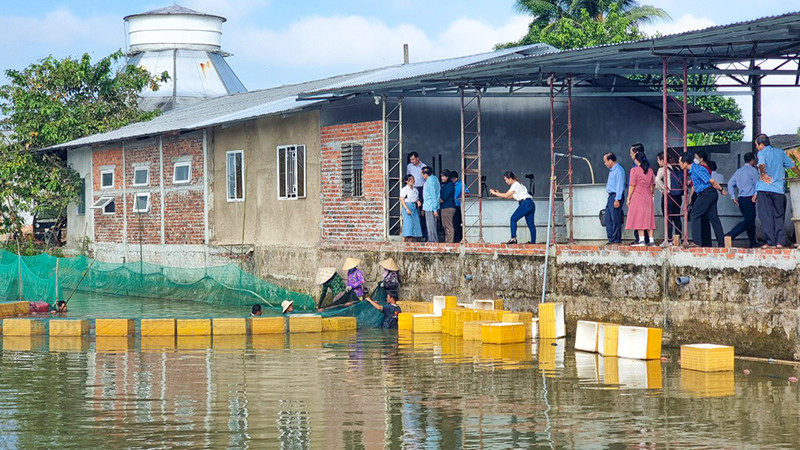 Đoàn giám sát của Tỉnh uỷ Vĩnh Long tham quan mô hình sản xuất cá linh tại xã Mỹ Phước, huyện Mang Thít, tỉnh Vĩnh Long. 