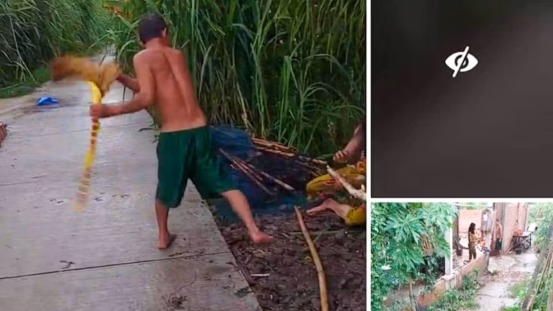 Ảnh cắt từ clip đăng trên mạng xã hội.