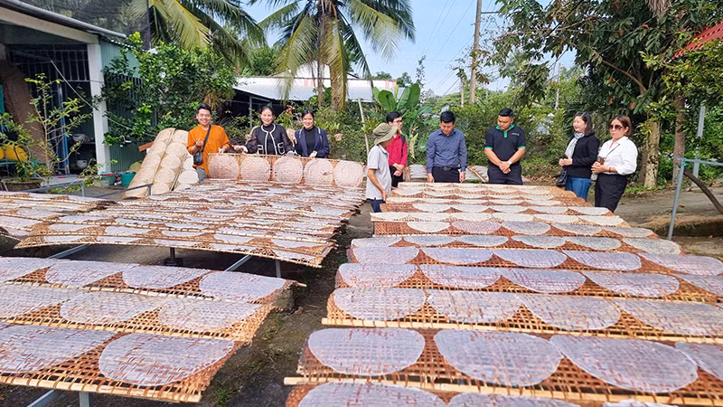 Khách tham quan và trải nghiệm tại làng nghề bánh tráng Cù Lao Mây, huyện Trà Ôn, tỉnh Vĩnh Long.