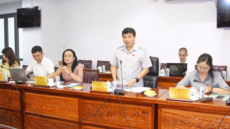 Đồng chí Y Thanh Hà Niê Kđăm phát biểu tại buổi làm việc.