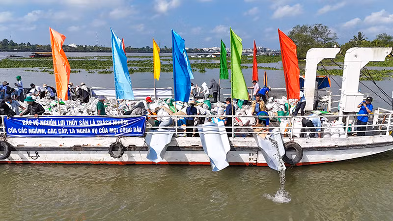 Ngành chức năng thả cá ra môi trường tự nhiên