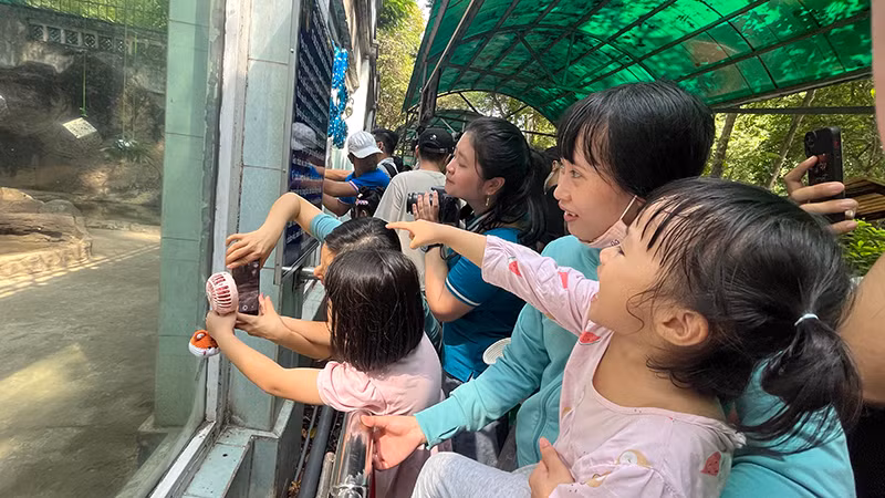 Các bé thích thú khi được thấy hai bé hổ Bình và Dương.