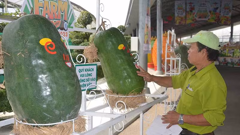 Lễ hội trái cây Nam Bộ giới thiệu nhiều trái cây độc lạ.