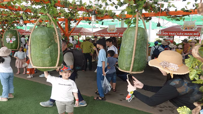 Giới thiệu trái cây khổng lồ tại Lễ hội trái cây Nam bộ lần thứ 20.