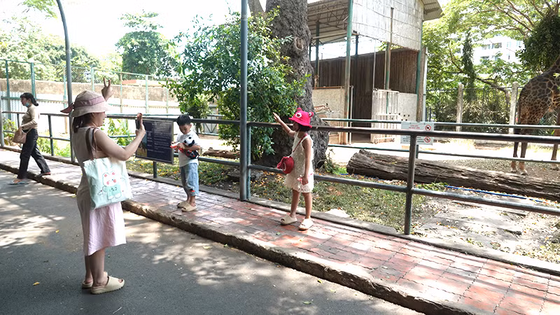 Khách tham quan chụp hình tại khu vực hươu cao cổ trong Thảo Cầm Viên Sài Gòn.