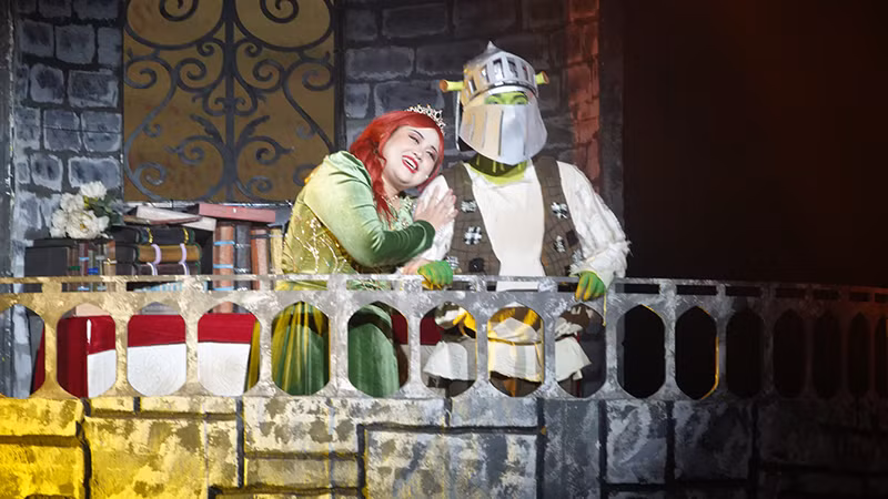 Shrek đến cứu công chúa Fiona bị giam trong tòa tháp.